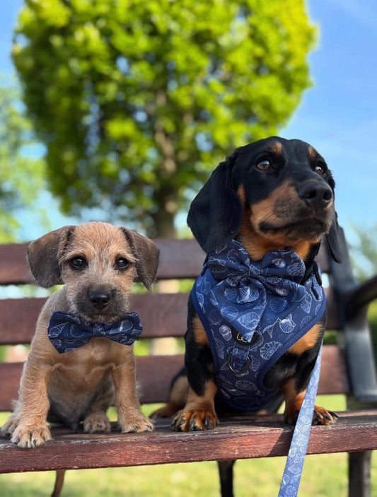 Paws & Pearls  Bow Tie