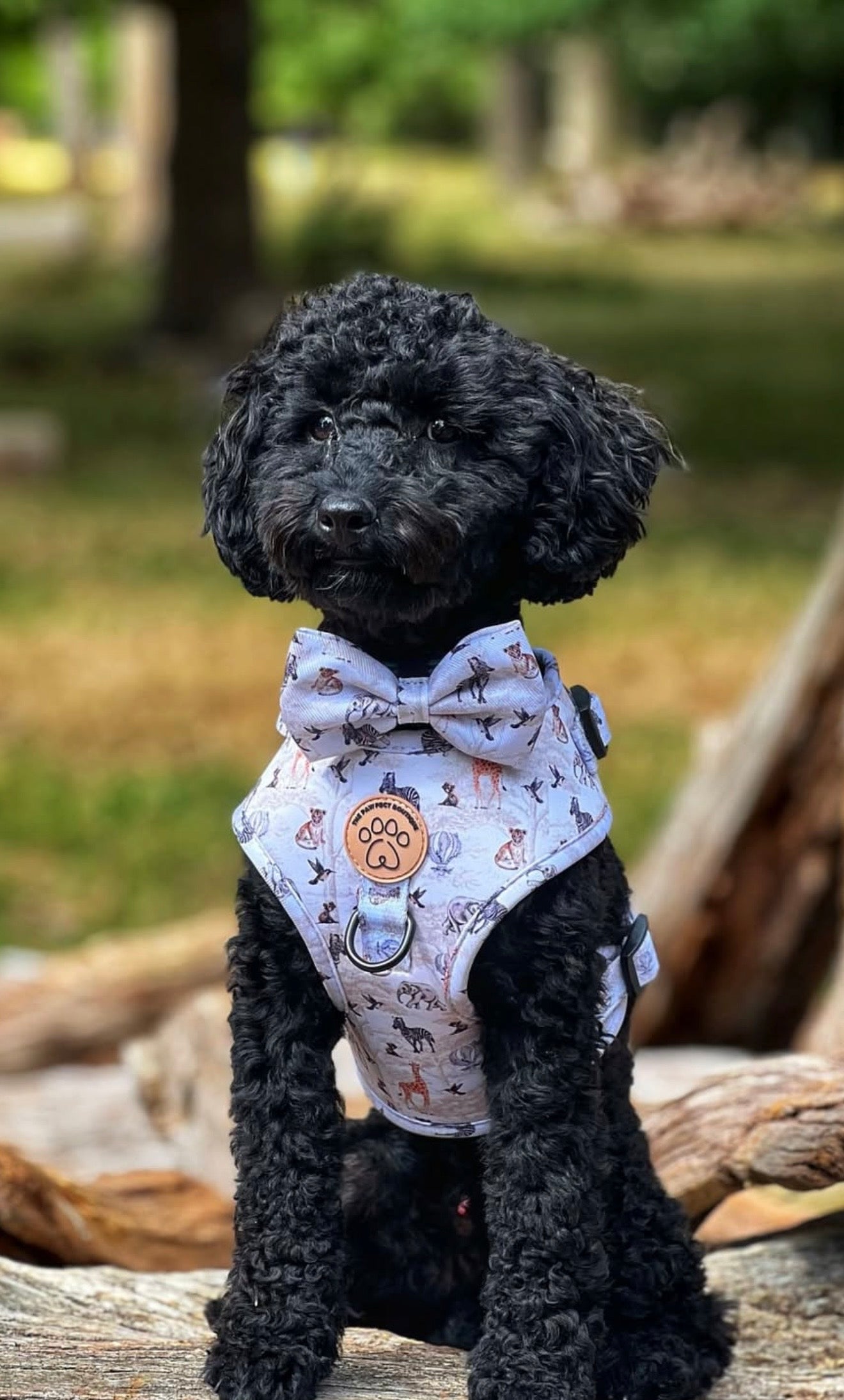 Barking Wild Bow Tie
