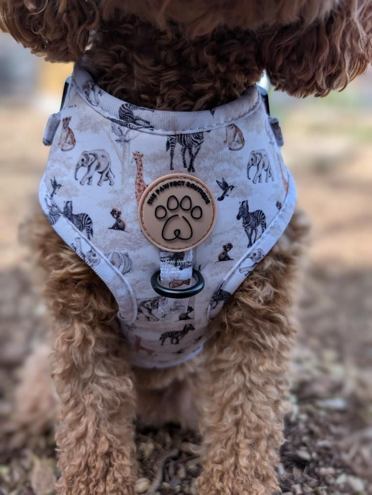Barking Wild Harness