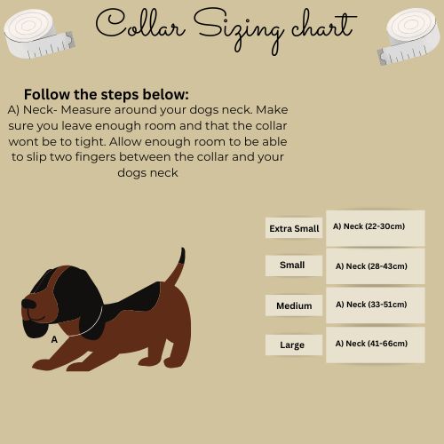 Paws & Pearls collar