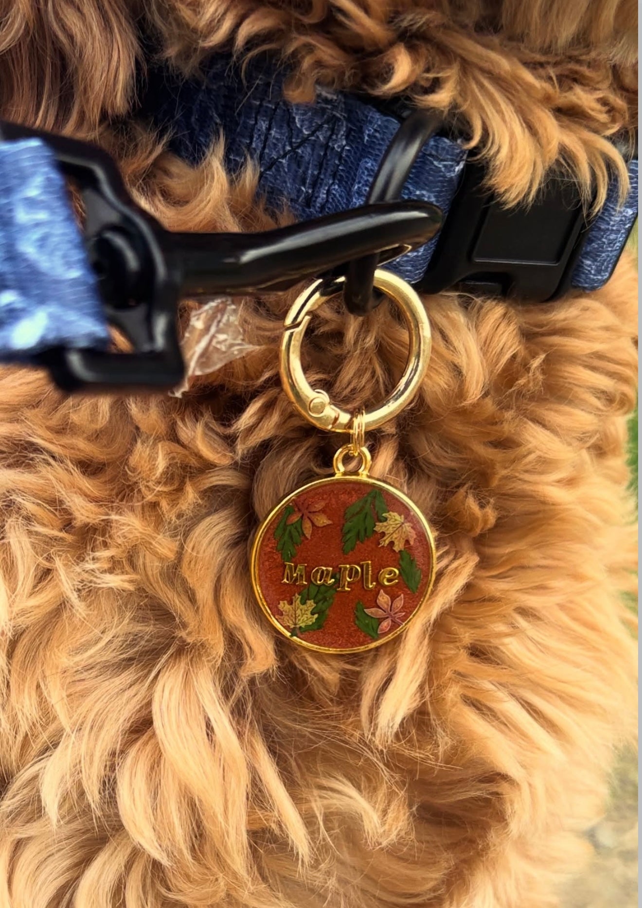 Autumn’s Calling tag
