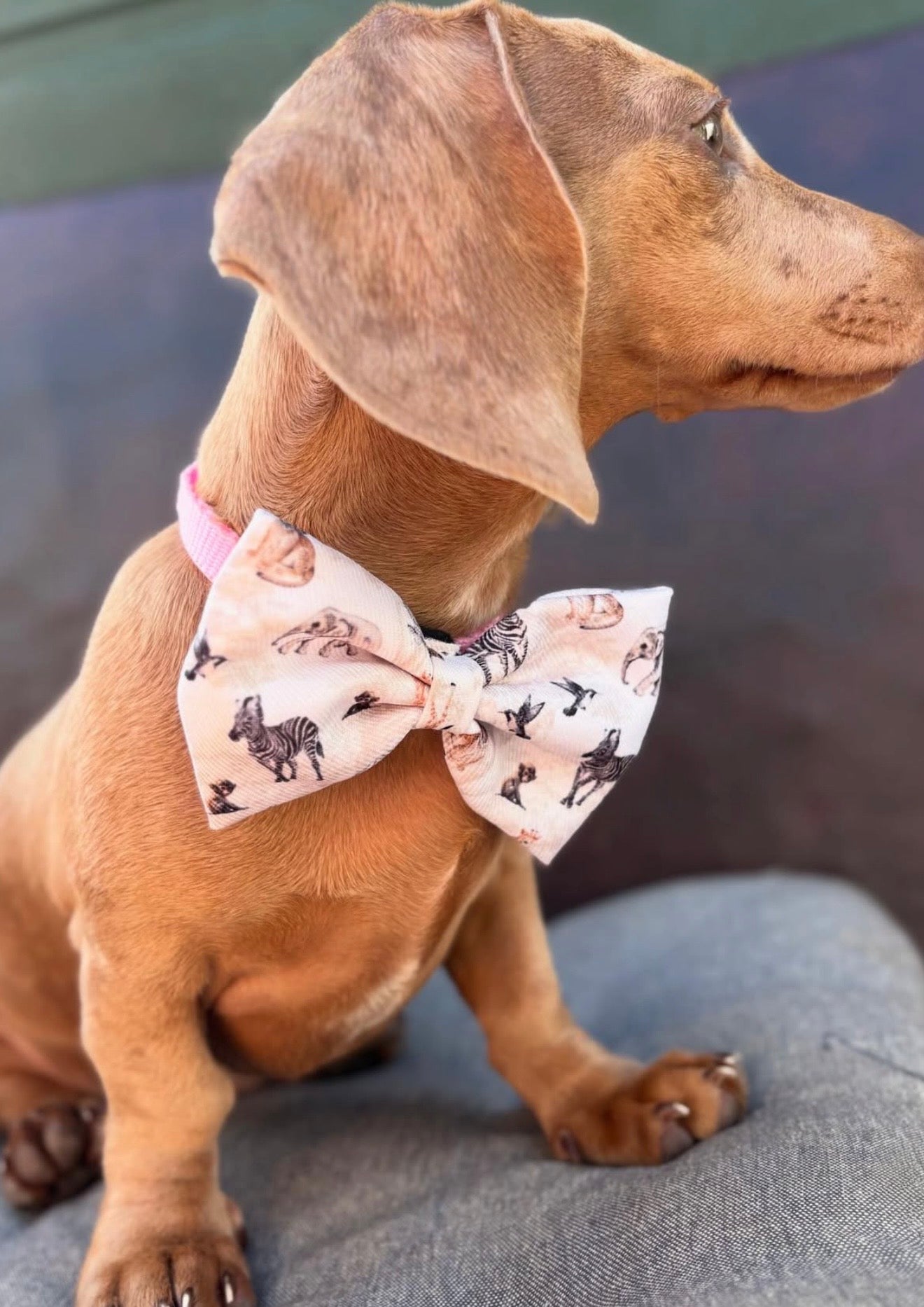 Barking Wild Bow Tie