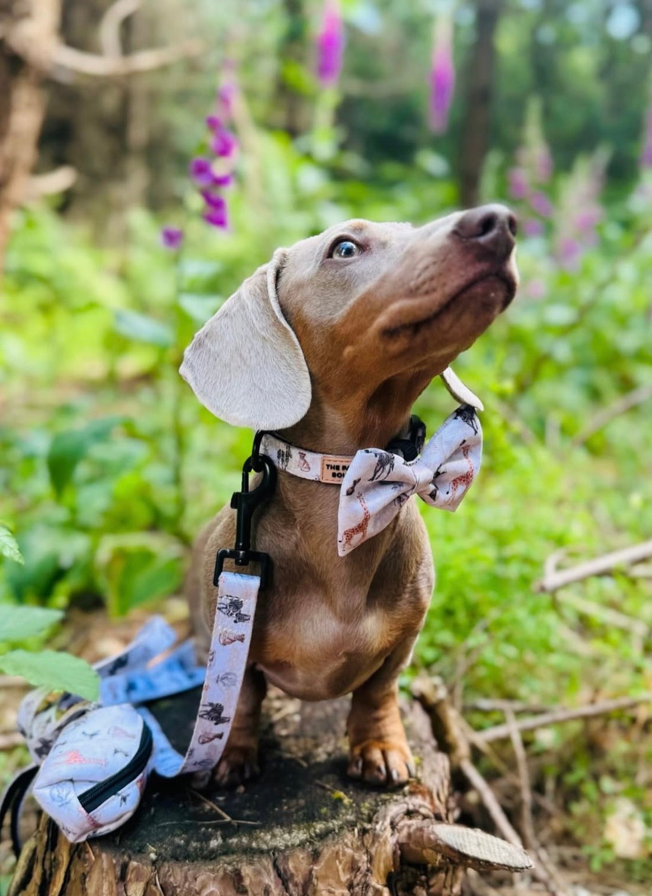 Barking Wild Bow Tie