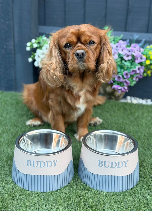 3D Printed Pet Bowl