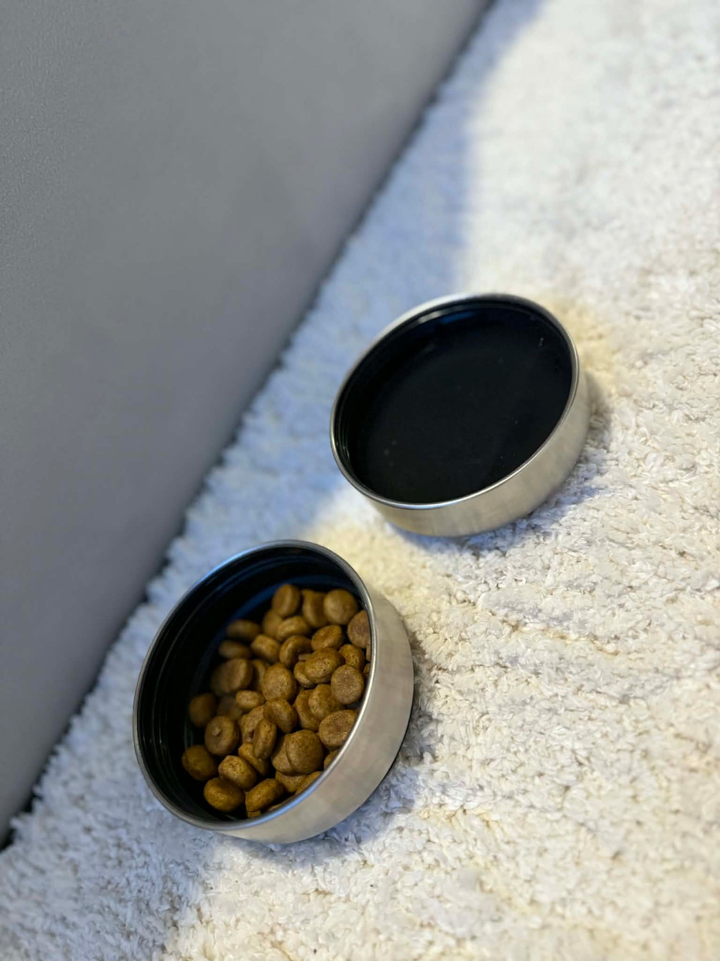 The Pawfect 3-in-1 Bottle