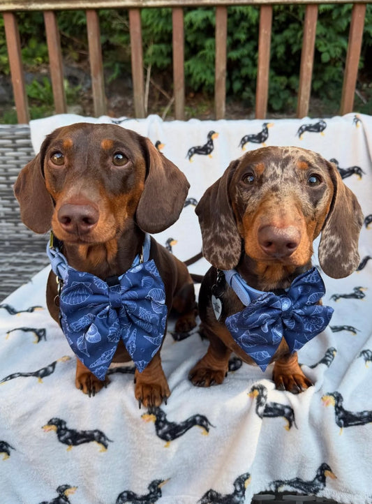Paws & Pearls Sailor Bow Tie