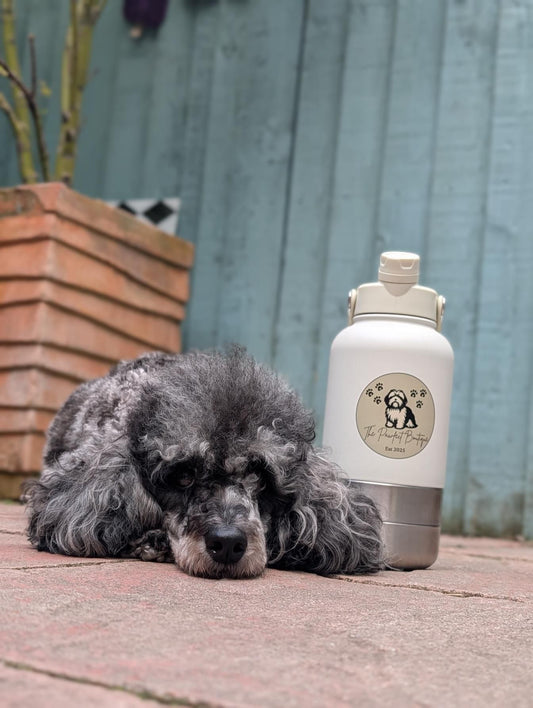 The Pawfect 3-in-1 Bottle